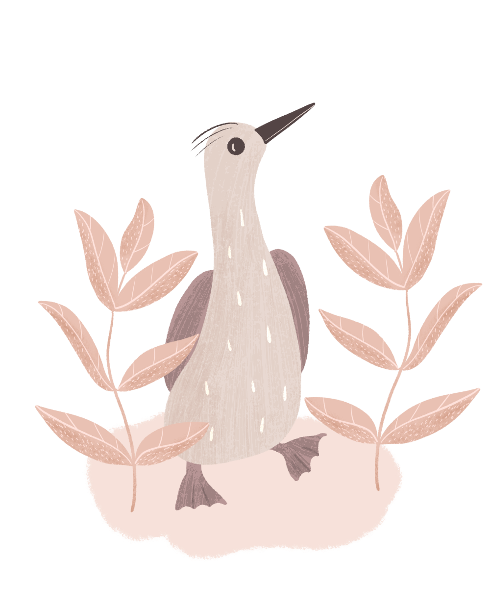 Vogelillustration