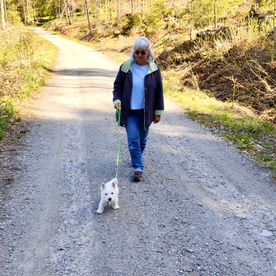 Vera Gold und Timmy Spaziergang